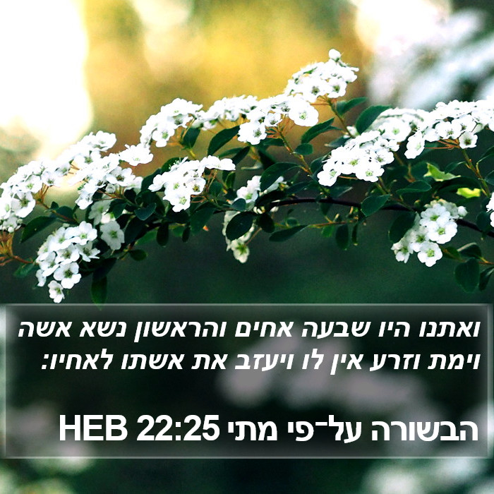 הבשורה על־פי מתי 22:25 HEB Bible Study