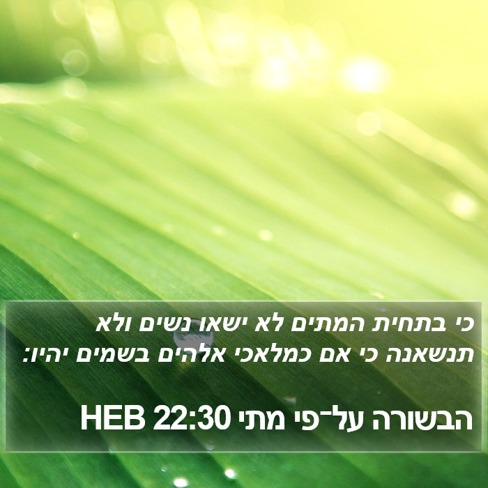 הבשורה על־פי מתי 22:30 HEB Bible Study