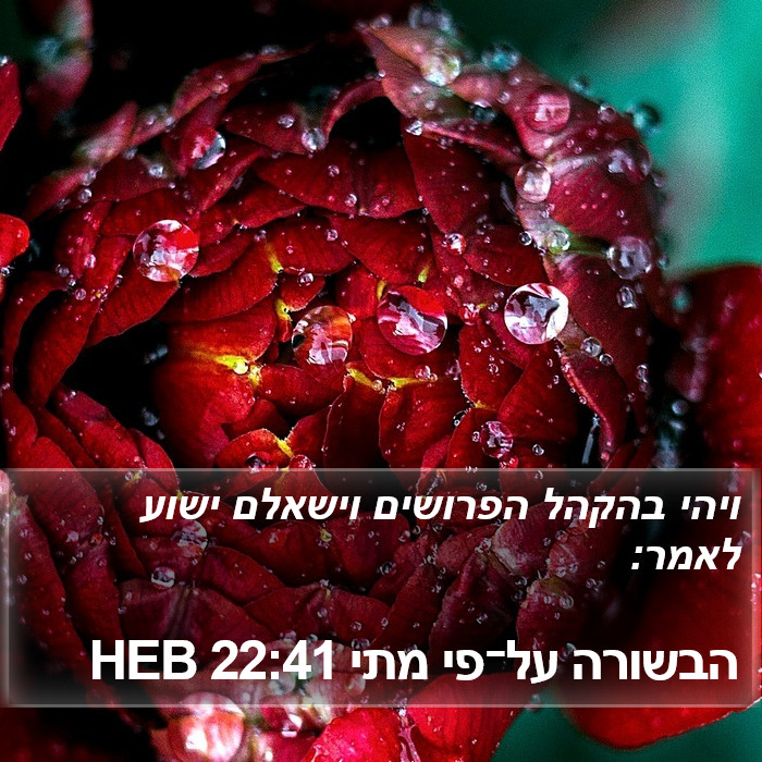 הבשורה על־פי מתי 22:41 HEB Bible Study