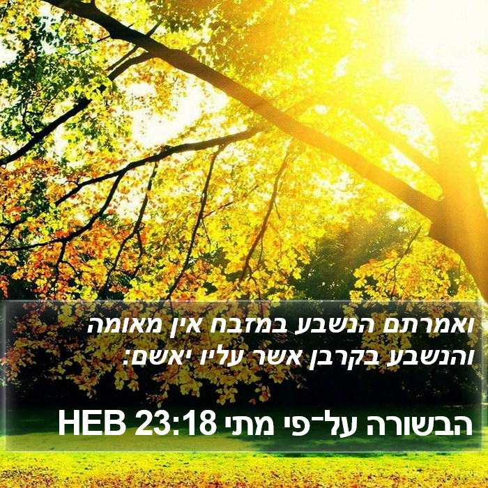 הבשורה על־פי מתי 23:18 HEB Bible Study