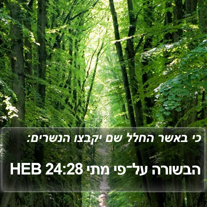 הבשורה על־פי מתי 24:28 HEB Bible Study