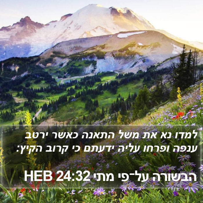 הבשורה על־פי מתי 24:32 HEB Bible Study