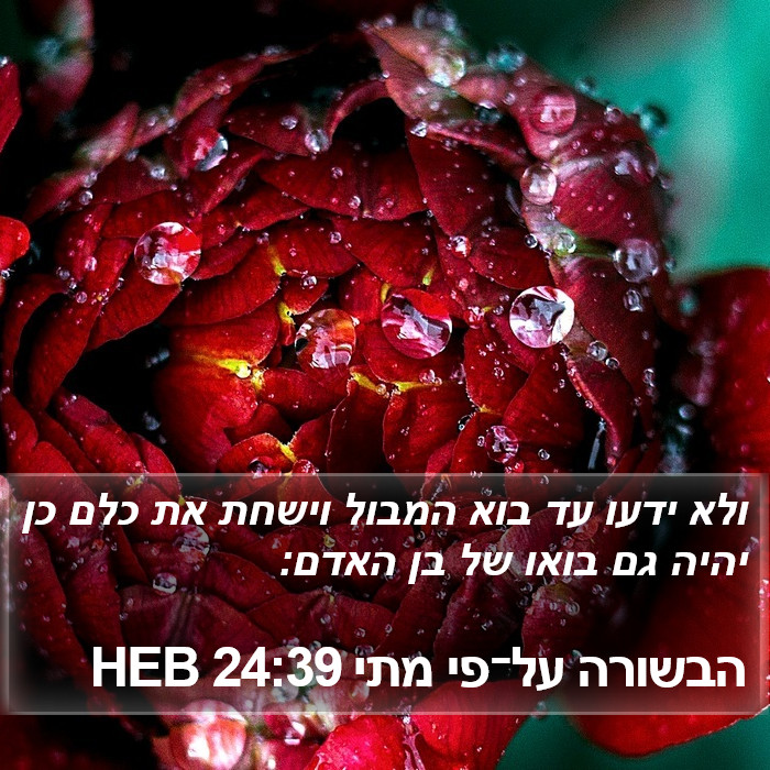 הבשורה על־פי מתי 24:39 HEB Bible Study