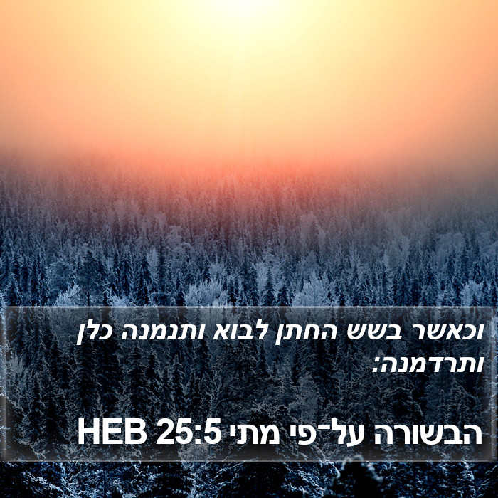 הבשורה על־פי מתי 25:5 HEB Bible Study