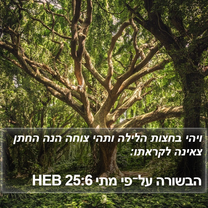 הבשורה על־פי מתי 25:6 HEB Bible Study