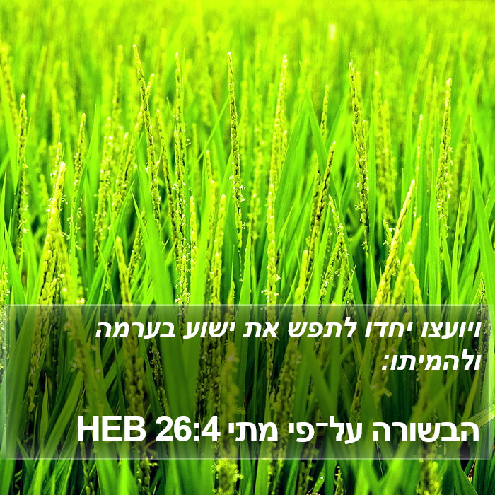 הבשורה על־פי מתי 26:4 HEB Bible Study