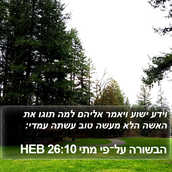 הבשורה על־פי מתי 26:10 HEB Bible Study