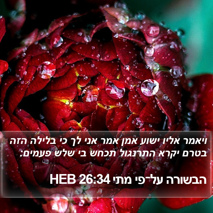 הבשורה על־פי מתי 26:34 HEB Bible Study