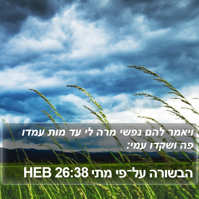 הבשורה על־פי מתי 26:38 HEB Bible Study