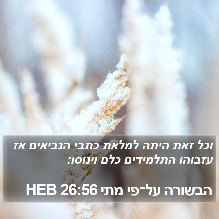 הבשורה על־פי מתי 26:56 HEB Bible Study