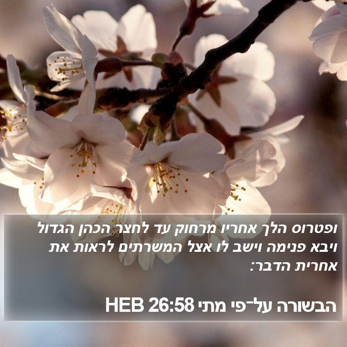 הבשורה על־פי מתי 26:58 HEB Bible Study