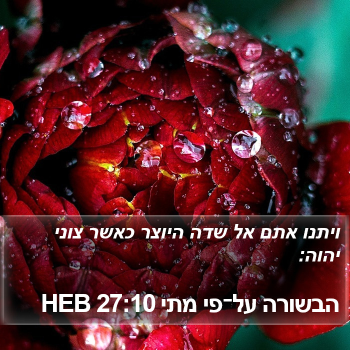 הבשורה על־פי מתי 27:10 HEB Bible Study