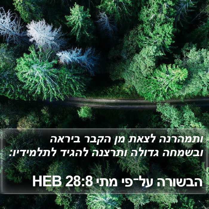 הבשורה על־פי מתי 28:8 HEB Bible Study