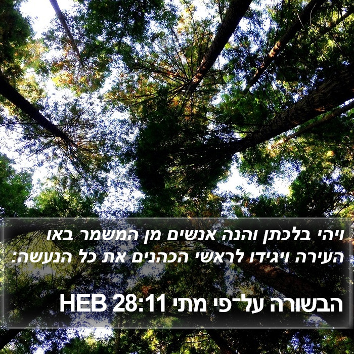 הבשורה על־פי מתי 28:11 HEB Bible Study