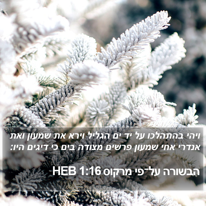 הבשורה על־פי מרקוס 1:16 HEB Bible Study