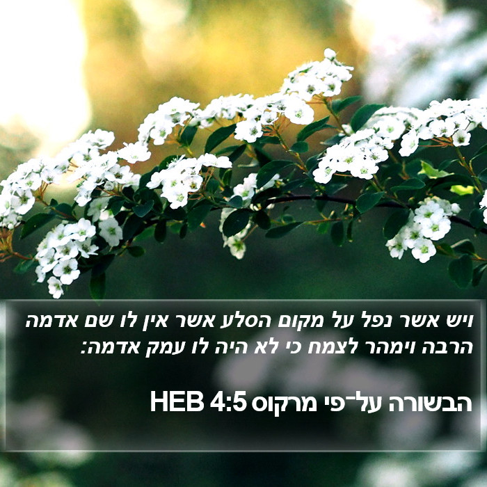 הבשורה על־פי מרקוס 4:5 HEB Bible Study