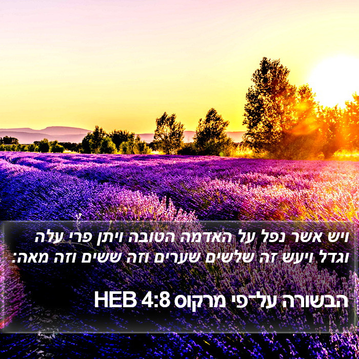 הבשורה על־פי מרקוס 4:8 HEB Bible Study