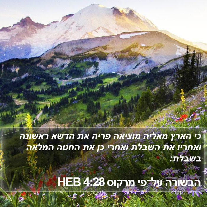 הבשורה על־פי מרקוס 4:28 HEB Bible Study