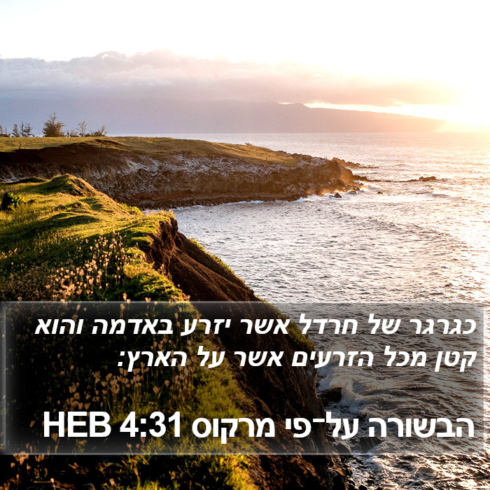 הבשורה על־פי מרקוס 4:31 HEB Bible Study