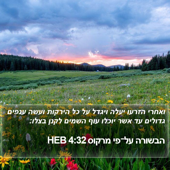 הבשורה על־פי מרקוס 4:32 HEB Bible Study