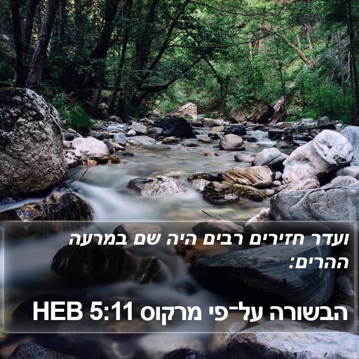 הבשורה על־פי מרקוס 5:11 HEB Bible Study