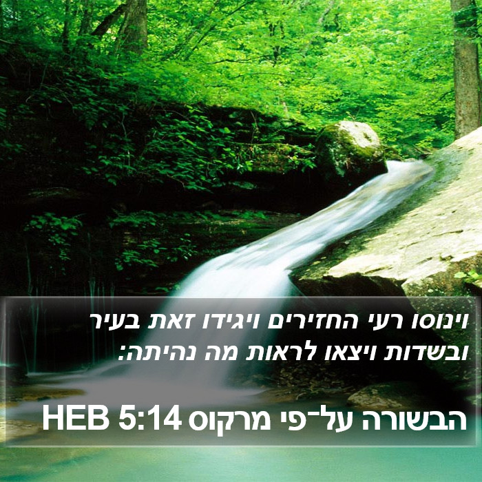 הבשורה על־פי מרקוס 5:14 HEB Bible Study