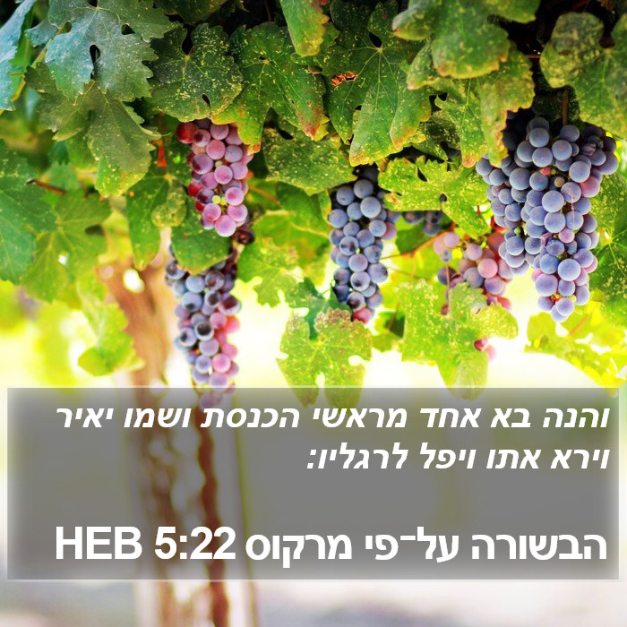 הבשורה על־פי מרקוס 5:22 HEB Bible Study