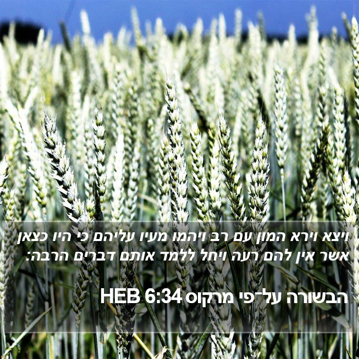 הבשורה על־פי מרקוס 6:34 HEB Bible Study