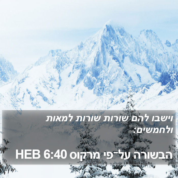 הבשורה על־פי מרקוס 6:40 HEB Bible Study