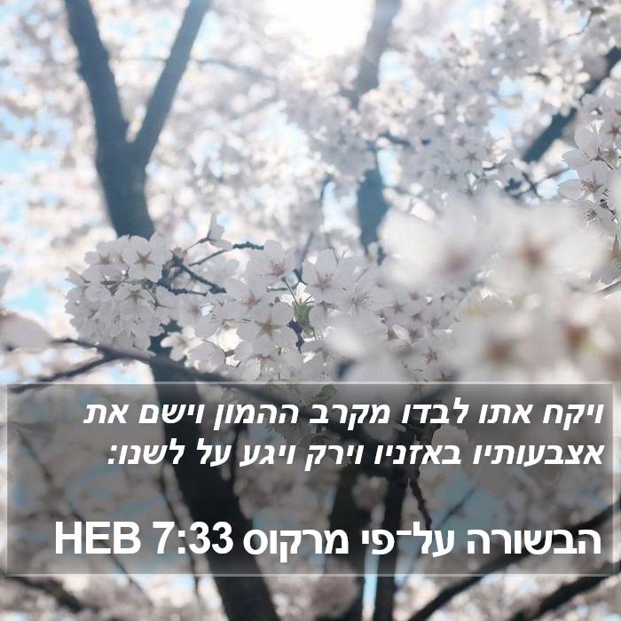 הבשורה על־פי מרקוס 7:33 HEB Bible Study