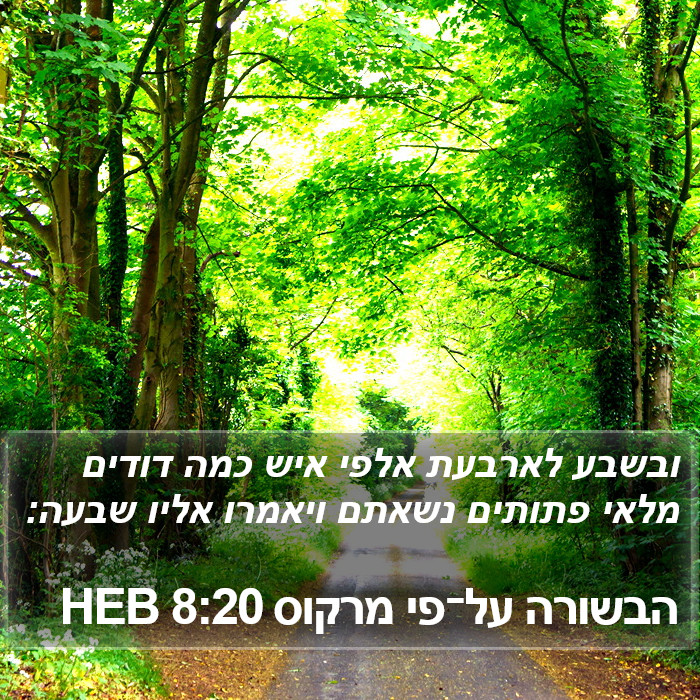 הבשורה על־פי מרקוס 8:20 HEB Bible Study