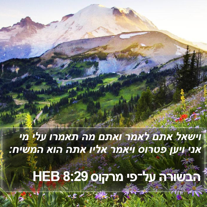 הבשורה על־פי מרקוס 8:29 HEB Bible Study