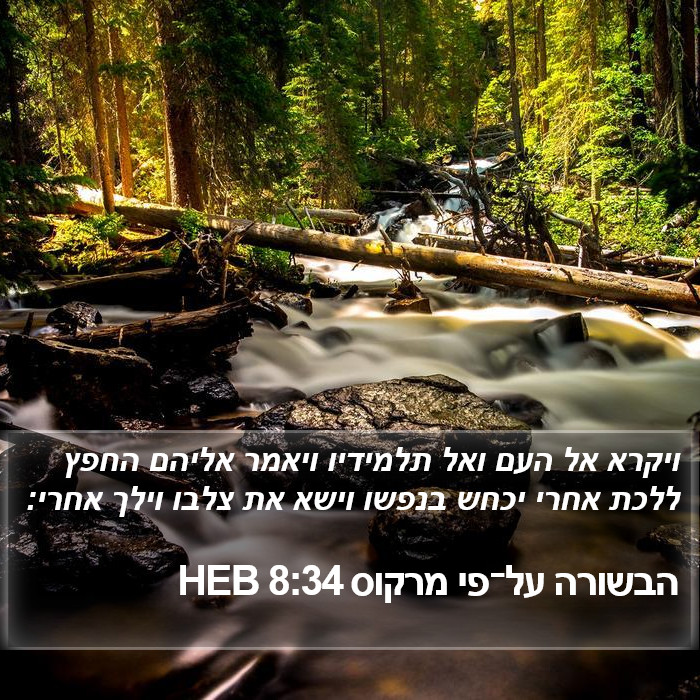 הבשורה על־פי מרקוס 8:34 HEB Bible Study