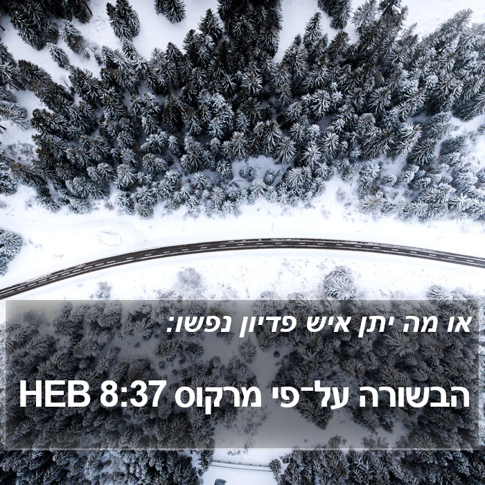 הבשורה על־פי מרקוס 8:37 HEB Bible Study