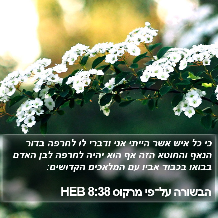 הבשורה על־פי מרקוס 8:38 HEB Bible Study