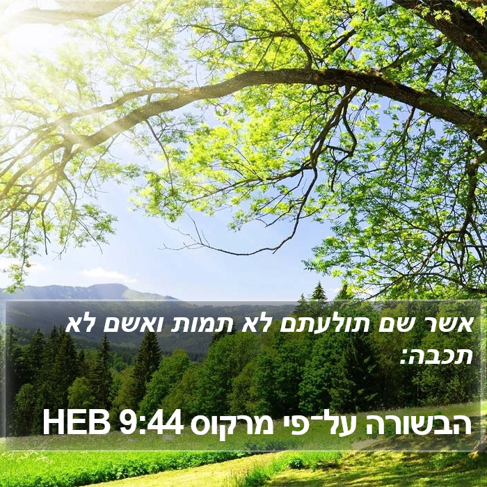 הבשורה על־פי מרקוס 9:44 HEB Bible Study