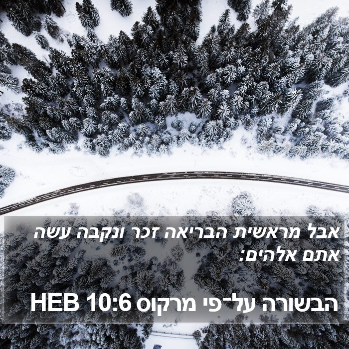 הבשורה על־פי מרקוס 10:6 HEB Bible Study