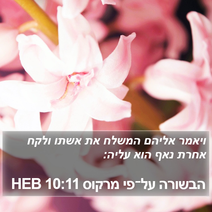 הבשורה על־פי מרקוס 10:11 HEB Bible Study