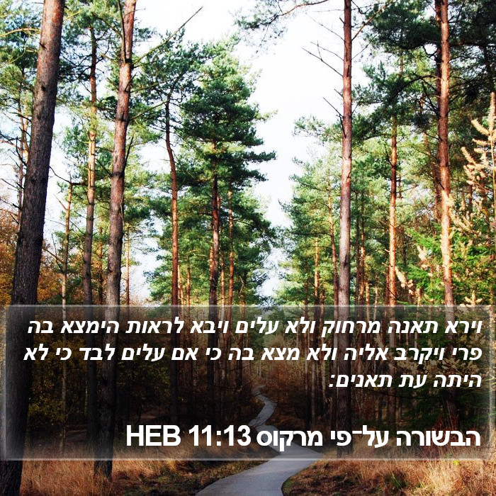 הבשורה על־פי מרקוס 11:13 HEB Bible Study