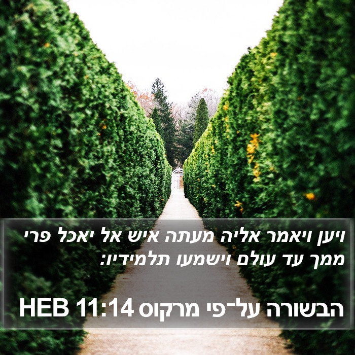 הבשורה על־פי מרקוס 11:14 HEB Bible Study