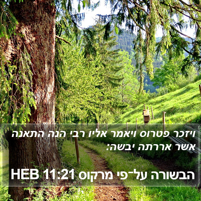 הבשורה על־פי מרקוס 11:21 HEB Bible Study