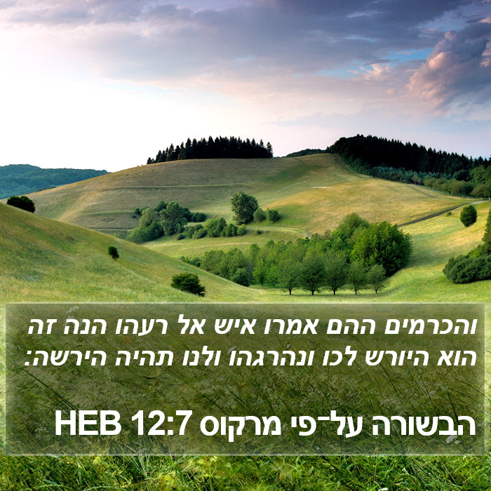 הבשורה על־פי מרקוס 12:7 HEB Bible Study