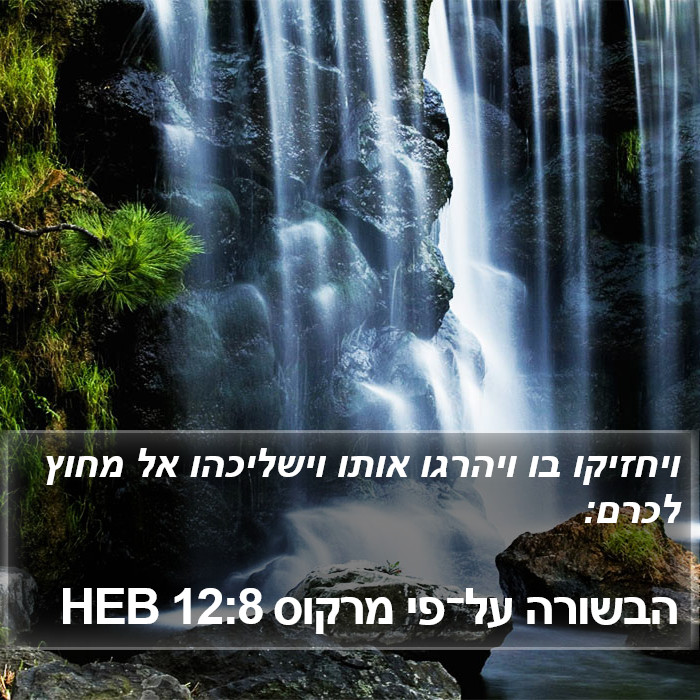 הבשורה על־פי מרקוס 12:8 HEB Bible Study