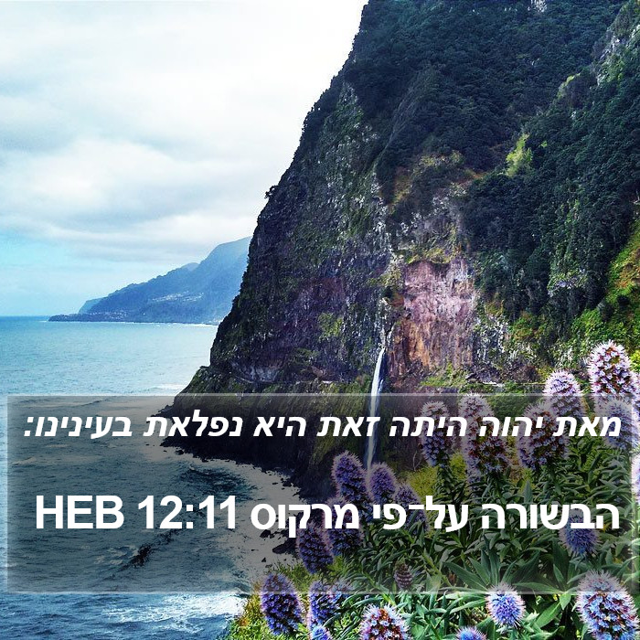 הבשורה על־פי מרקוס 12:11 HEB Bible Study