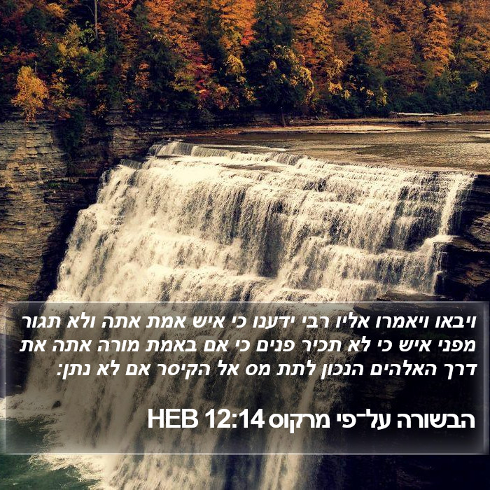 הבשורה על־פי מרקוס 12:14 HEB Bible Study