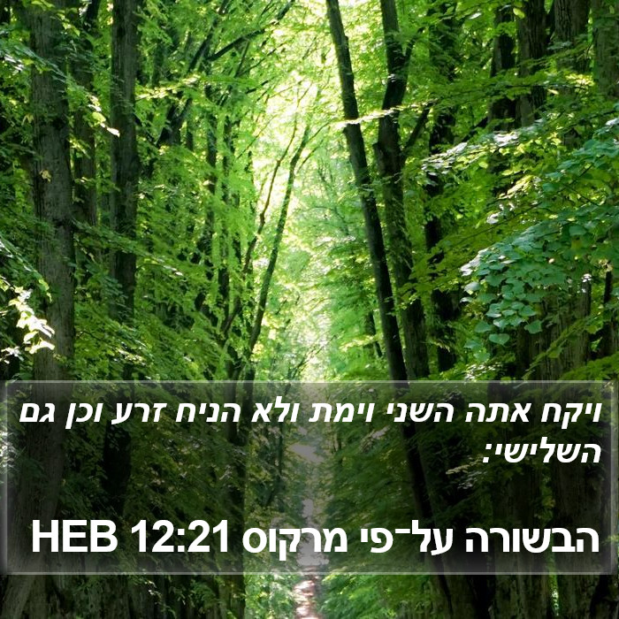 הבשורה על־פי מרקוס 12:21 HEB Bible Study