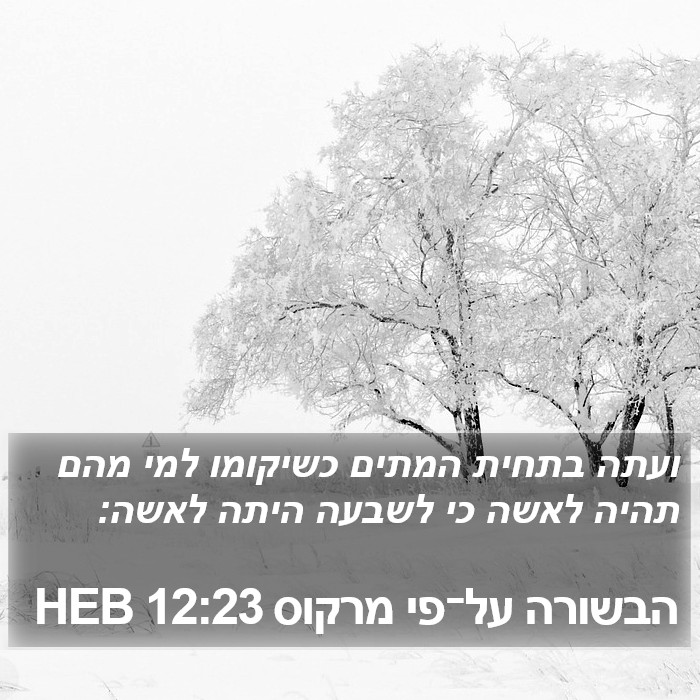 הבשורה על־פי מרקוס 12:23 HEB Bible Study