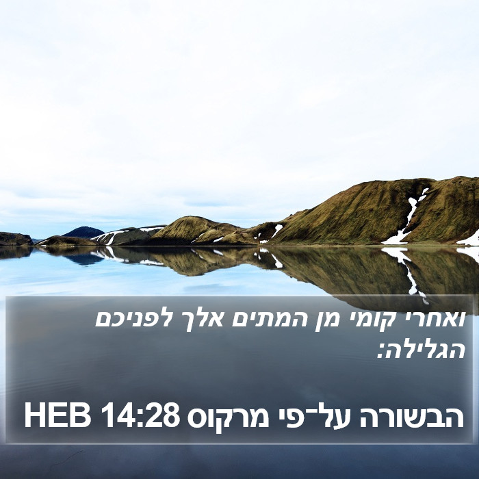 הבשורה על־פי מרקוס 14:28 HEB Bible Study