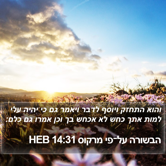 הבשורה על־פי מרקוס 14:31 HEB Bible Study