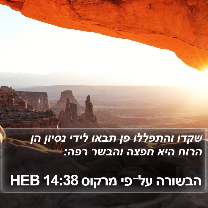 הבשורה על־פי מרקוס 14:38 HEB Bible Study